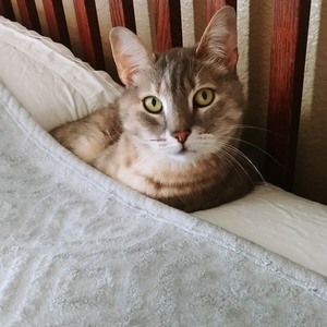 Meet your Posher, Dee